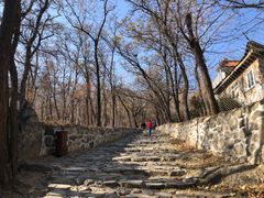 -阳台山自然风景区