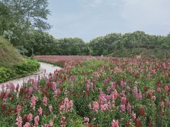 -广州市流溪河国家森林公园