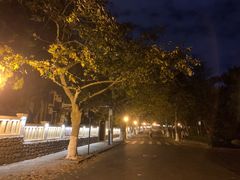 -八大关景区