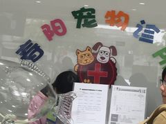 -暖阳宠物医院·犬猫康复中心·骨科