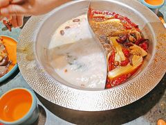 -麻田会 ·牛蛙火锅(珠江新城维家思广场店)