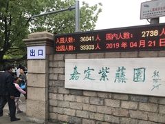 -嘉定紫藤园