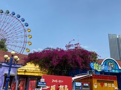 -南湖梦幻岛