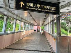 -香港大学
