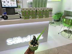 -Salud撒露欧洲冻酸奶(蓝色港湾店)