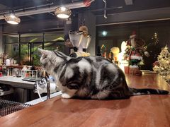 -咖法森林·咖啡  酒吧(天河店)