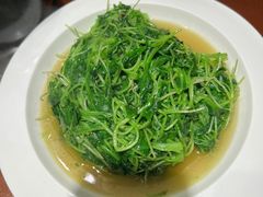 -徽三说·土徽菜·中国徽菜连锁品牌(阳湖总店)