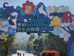 -西安秦岭野生动物园
