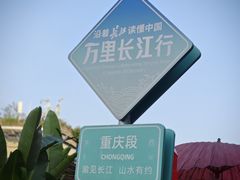 -陈建平麻花(磁器口总店)