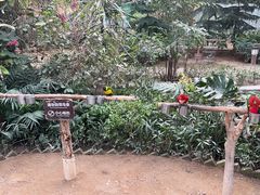 -南宫五洲植物乐园