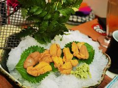 海胆刺身-和创柚子·会席日本料理(新区淮海街店)