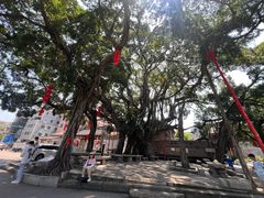 -烟桥私房菜馆(奋哥)