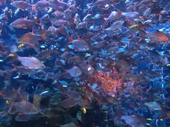 -成都浩海立方海洋公园