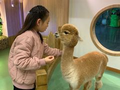 -藦茜花园宠物主题亲子互动体验馆(国顺东路店)