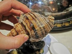 -天鹰观渔(梦园店)