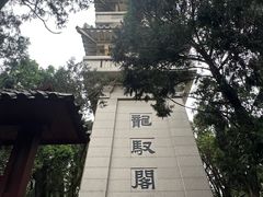 -黄帝陵