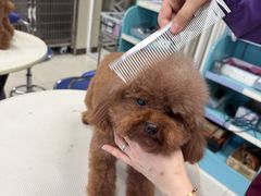 -北京观赏动物医院·24小时大型综合·猫专科·异宠专科