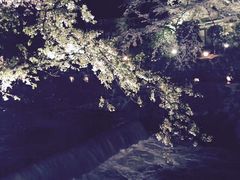 -月光园游月山庄