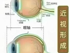 -宝视达眼镜(周口市广场店)