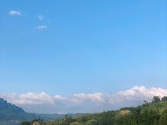 -重庆睡佛山森林公园
