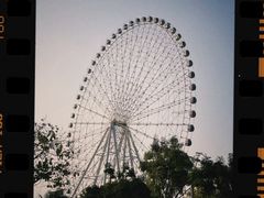 -凤岭儿童公园