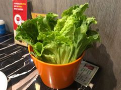-古乐牛香·鲜牛肉牛杂火锅(五一中路店)