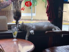 -不舍昼夜咖啡馆