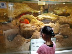 -上海昆虫博物馆