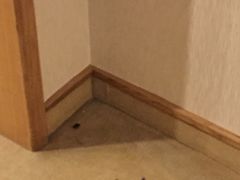 -深圳海景嘉途酒店(东翼楼)