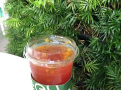 鲜榨果汁-Green Option(官舍店)