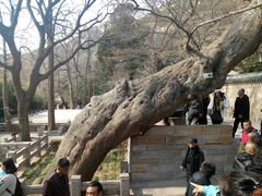 -青岛崂山太清宫