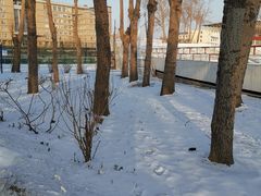 -吉林大学(南岭校区)