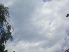 -青年湖公园水上世界