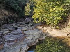 -广州白江湖森林公园