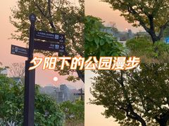 -王借岗森林公园