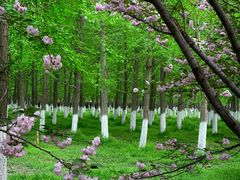 -渭河城市绿地运动公园