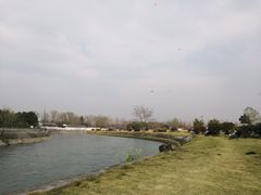 -蜀绣公园