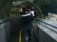 -大连圣亚海洋世界