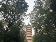 -灵谷景区