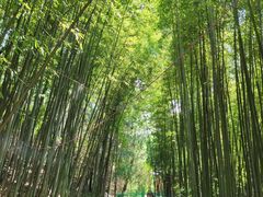 -四门塔风景区