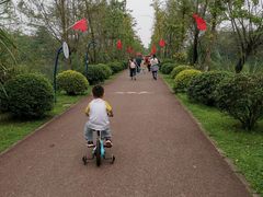 -白鹭湾湿地公园