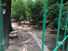 -呼吸森林·生态农庄农家乐私房菜