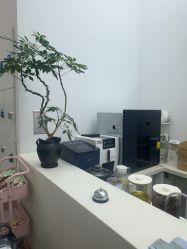 -梳蕾娜 HAIR SALON