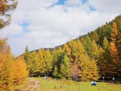 -苏木山森林公园