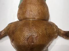 法式蜗牛打边炉-顺风海鲜港(金玉兰店)