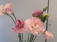 -Erman岩烧牛排(虹桥南丰城店)