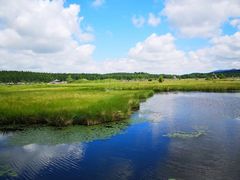 -塞罕坝国家级自然保护区