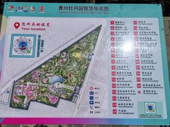 -曹州牡丹园