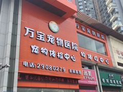 -创凡宠物医院·骨专科  猫科中心(西乡分院)