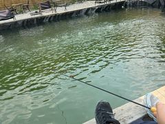 -DGE季风钓虾营地·团建·聚会